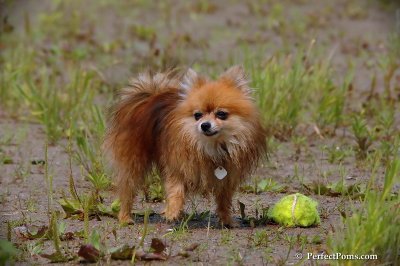 July27_08_117.JPG