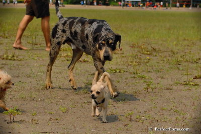July27_08_132.JPG