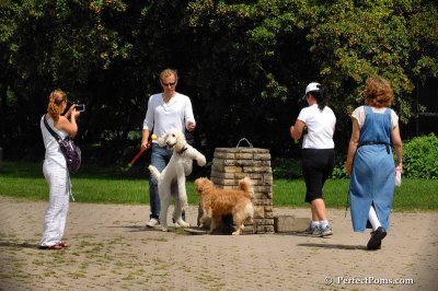 Aug3_08_028.JPG