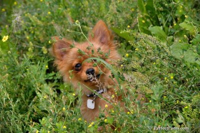 Aug3_08_029.JPG