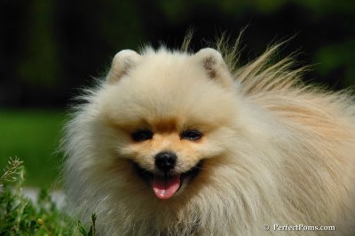 Aug3_08_033.JPG