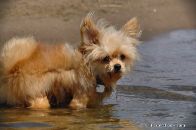 Aug6_08_317.JPG