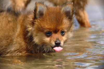 Aug6_08_370.JPG