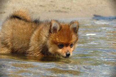Aug6_08_377.JPG