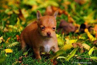 Oct5_08_315.JPG