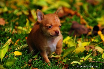 Oct5_08_316.JPG