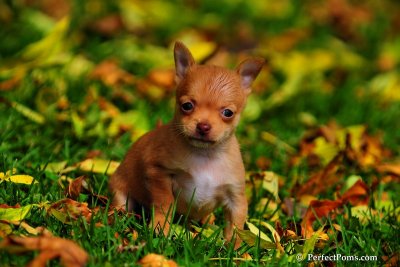 Oct5_08_320.JPG
