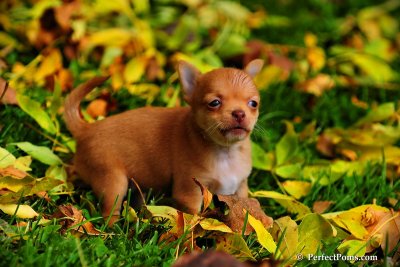Oct5_08_334.JPG