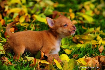 Oct5_08_336.JPG