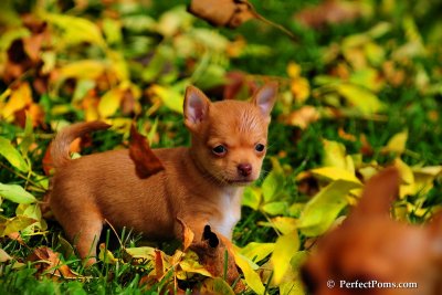 Oct5_08_340.JPG