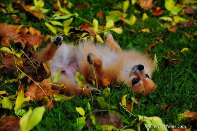 Oct5_08_349.JPG
