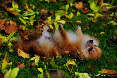 Oct5_08_350.JPG