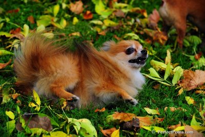 Oct5_08_353.JPG
