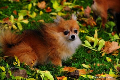 Oct5_08_354.JPG