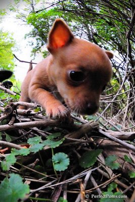 Oct5_08_135.JPG