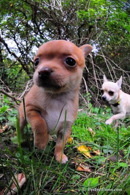 Oct5_08_141.JPG