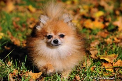 Oct19_08_945.JPG