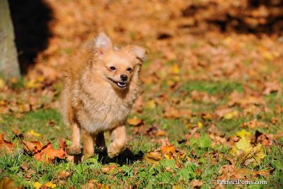 Oct19_08_806.jpg