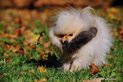 Oct19_08_811.JPG