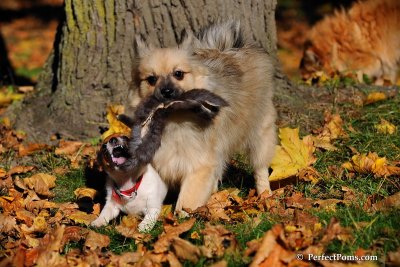 Oct19_08_848.jpg