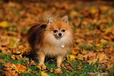 Oct19_08_972.jpg