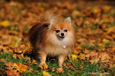 Oct19_08_973.jpg