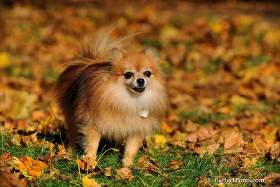 Oct19_08_975.jpg