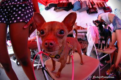 June8_08_002.JPG