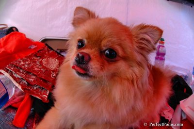 June8_08_017.JPG