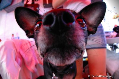 June8_08_019.jpg