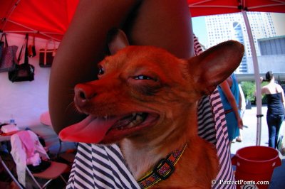 June8_08_028.JPG