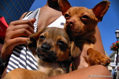 June8_08_034.jpg