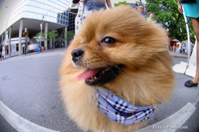 June8_08_068.JPG
