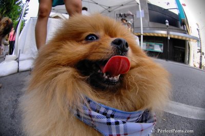 June8_08_076.JPG