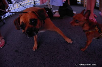 June8_08_092.JPG