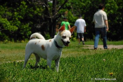 June23_08_065.JPG