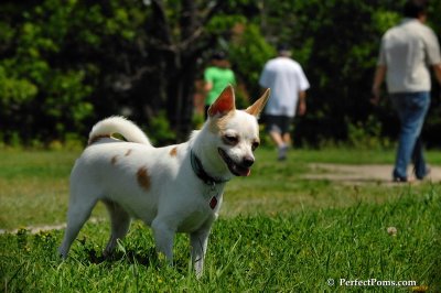 June23_08_066.JPG