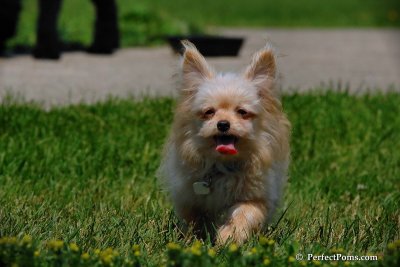 June23_08_067.jpg