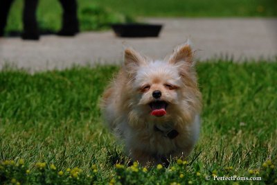 June23_08_068.jpg