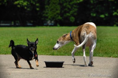 June23_08_106.JPG
