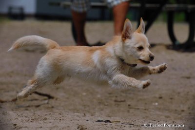 June2_08_234.JPG
