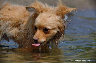 June25_08_223.JPG