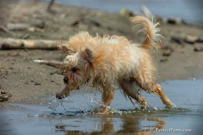 June27_08_017.jpg