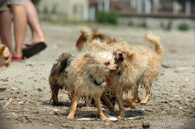June27_08_023.jpg