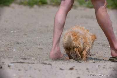 June27_08_026.jpg