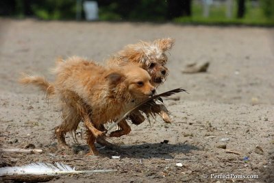 June27_08_057.jpg