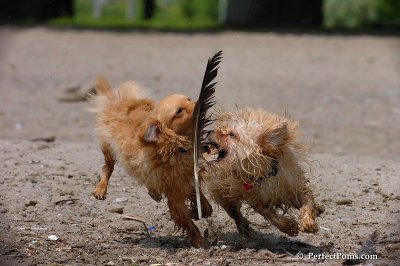 June27_08_059.jpg