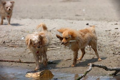 June27_08_069.jpg