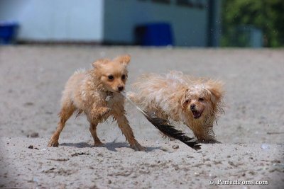 June27_08_072.jpg
