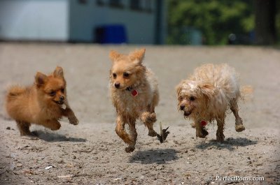 June27_08_076.JPG